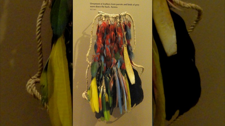 Exhibit of feathered ornament worn by the Ayoreo people