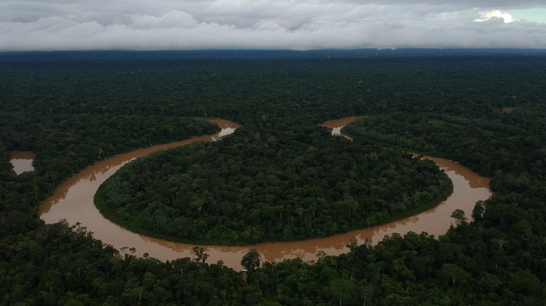 Aerial view of a horseshoe bend of the river in the Terra Indigena Vale do Javari