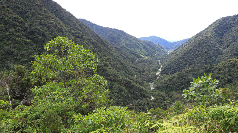 Aerial shot of a river valley in Manu National Park