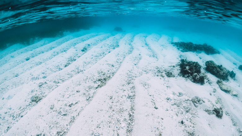 Sand underwater around Bermuda