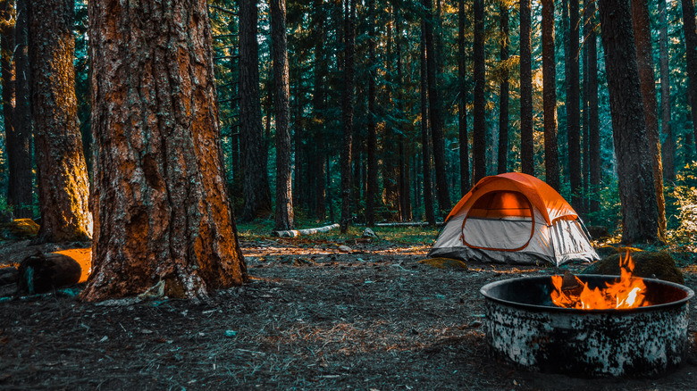 tent in the woods