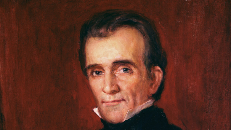 portrait of James K. Polk smirking