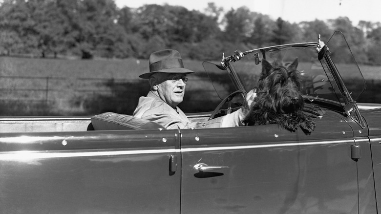Franklin D. Roosevelt taking his dog Fala for a drive