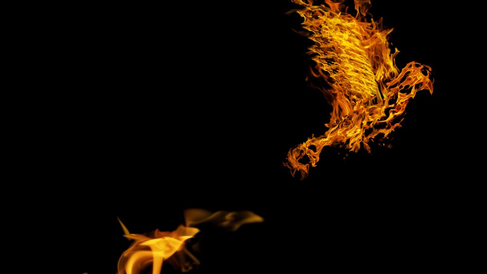 phoenix bird flames
