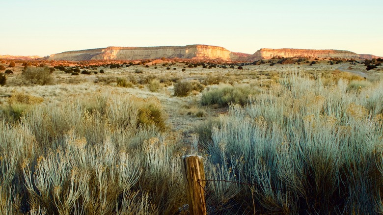 New Mexico wilderness mountains in background