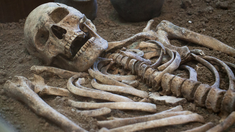 excavation Neanderthal bones