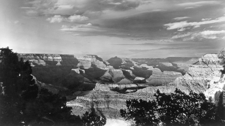 Black and white Grand Canyon landscape