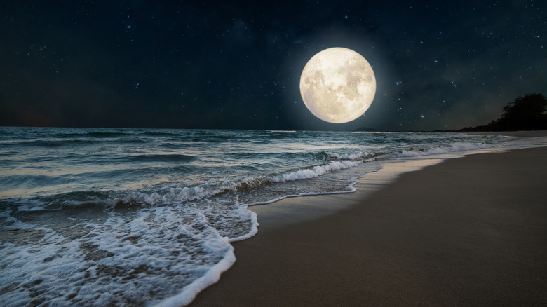 Large moonrise over a quiet beach