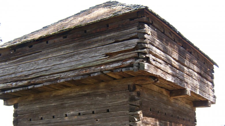 Fort Marr