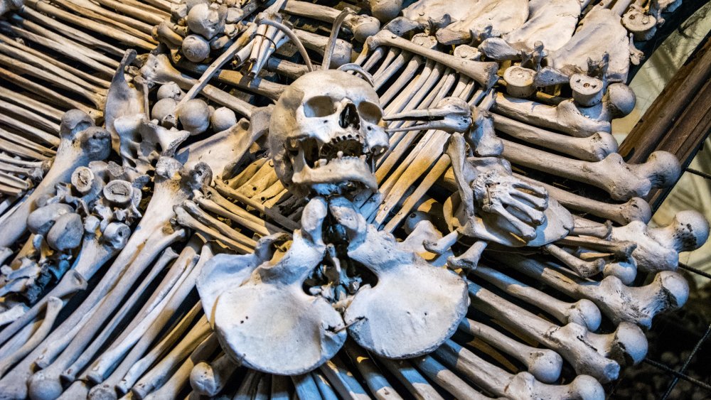 Sedlec Ossuary