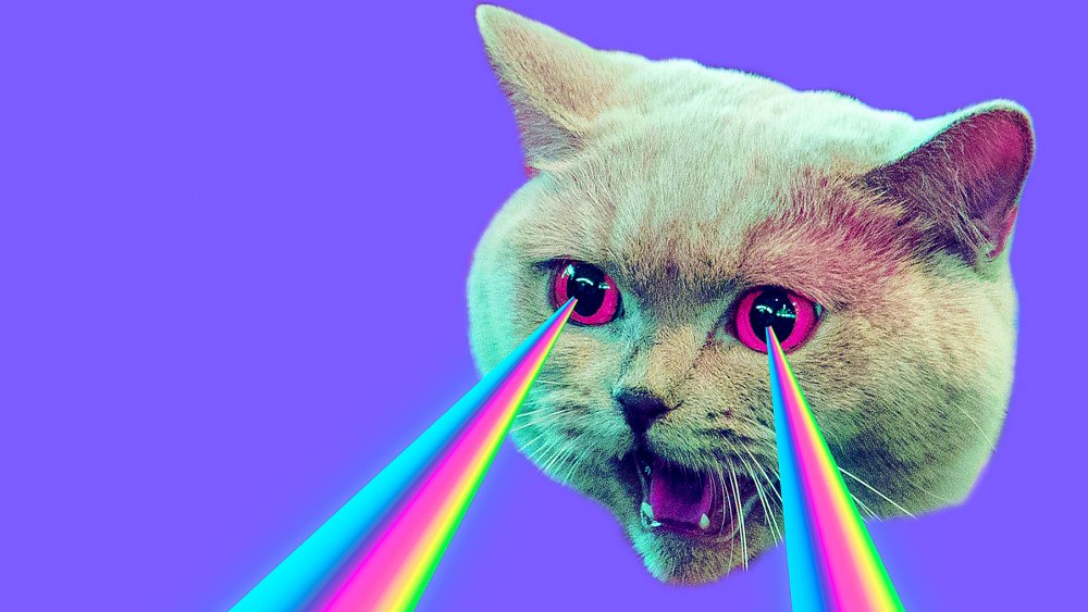 Cat eye lasers. 