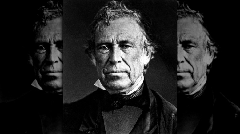 zachary taylor portrait