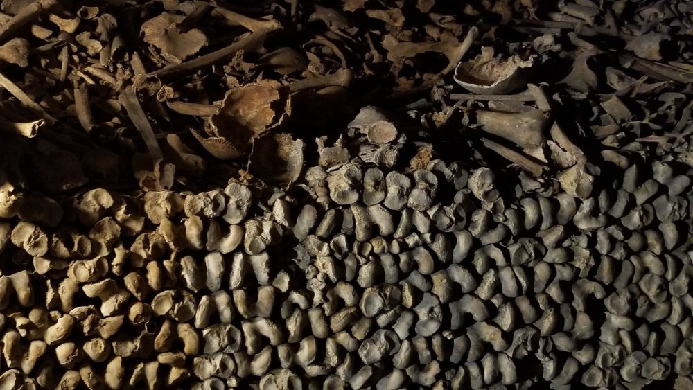 Bone wall