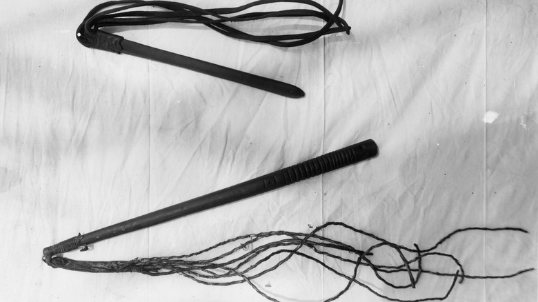 Whips