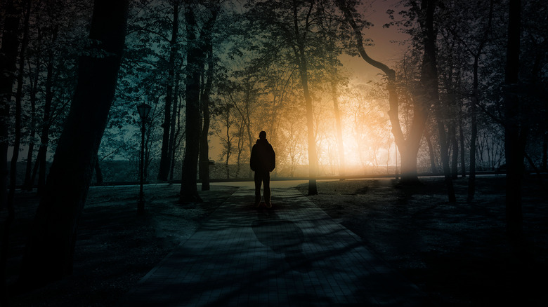 eerie silhouette of a man in a forest