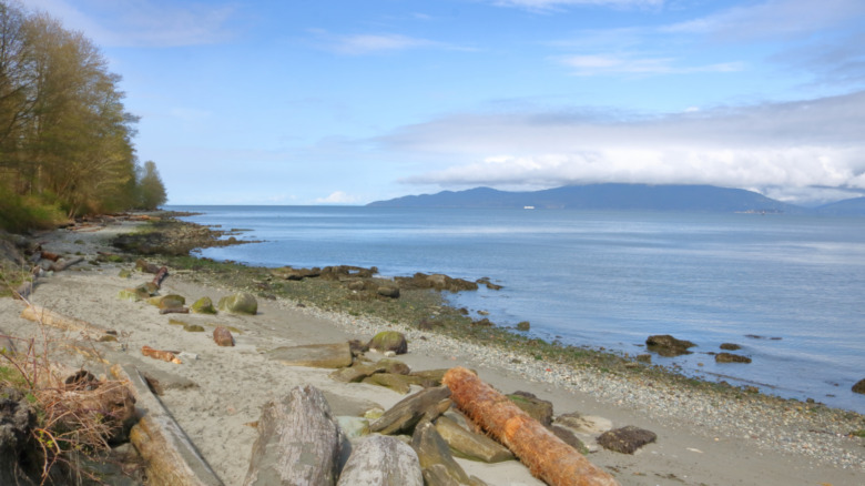 Salish Sea, British Columbia