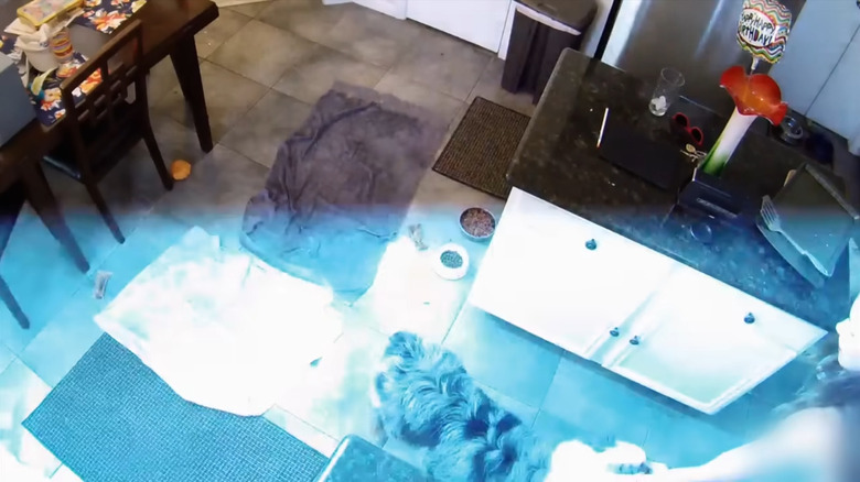 Blue flash seen in security camera footage from "The Proof Is Out There"