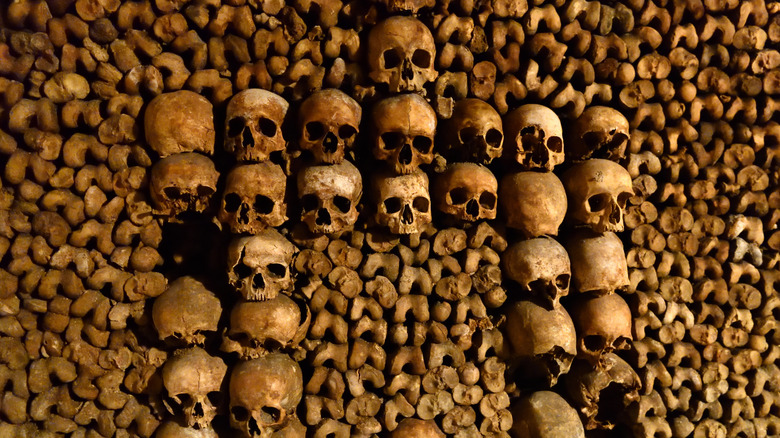 Stacked human bones in Paris Catacombs