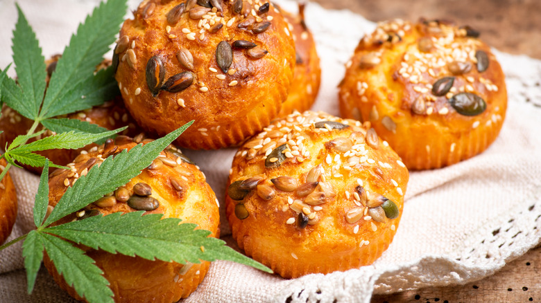 marijuana with plate of muffins