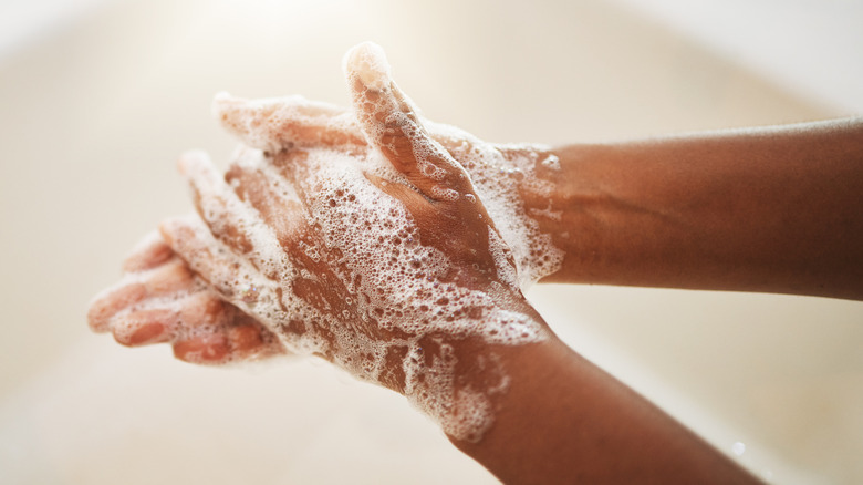 Hands covered in soap suds closeup.