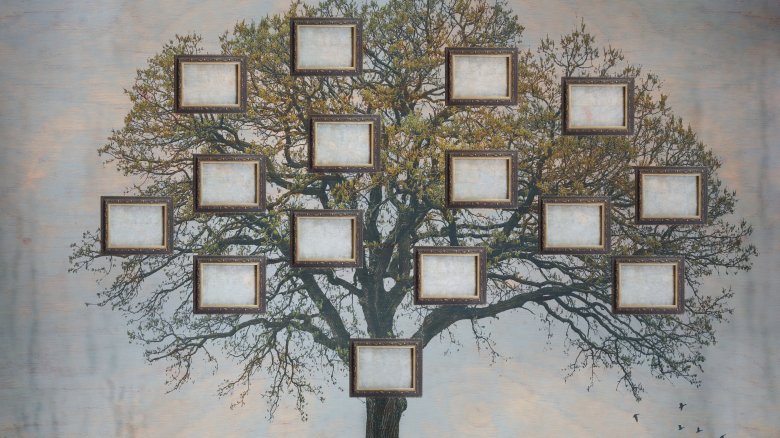 Family tree