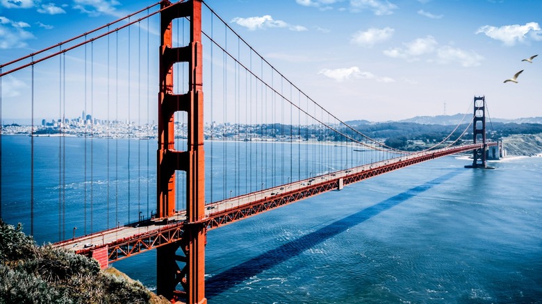 golden gate bridge