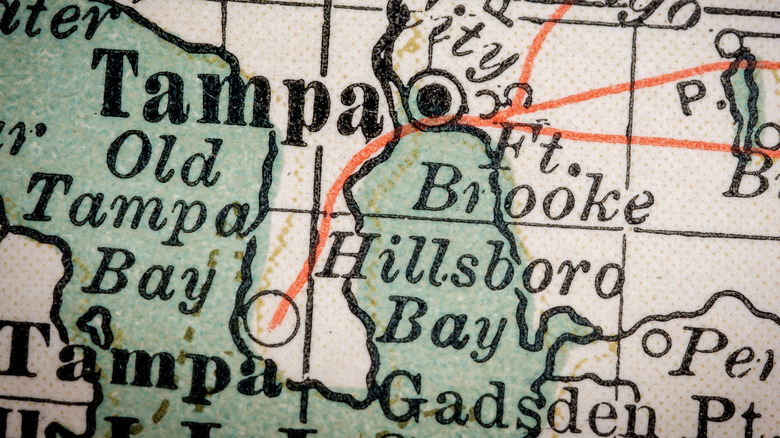 Tampa, Florida map