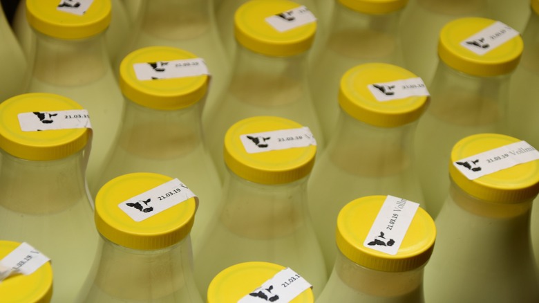 milk cartons