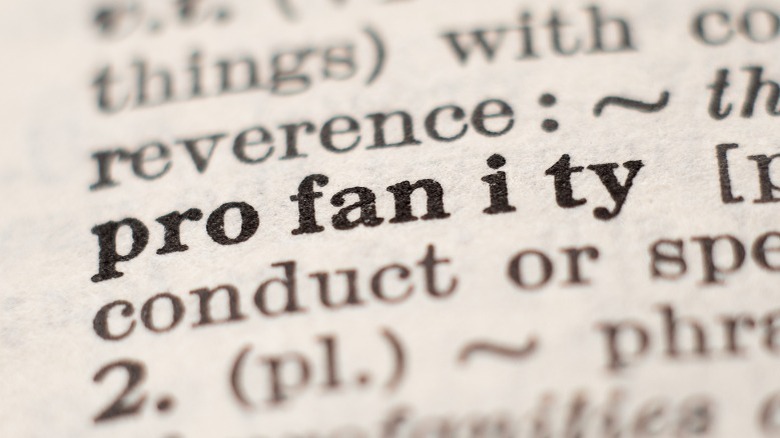 dictionary entry for profanity