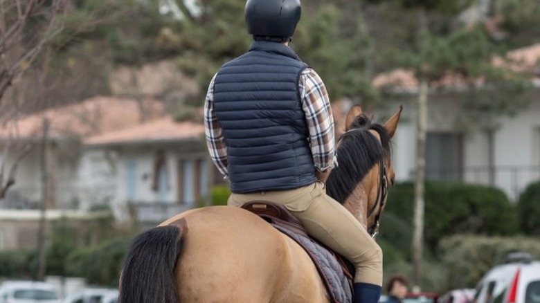 On horseback