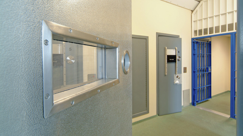 Metal cell door with window
