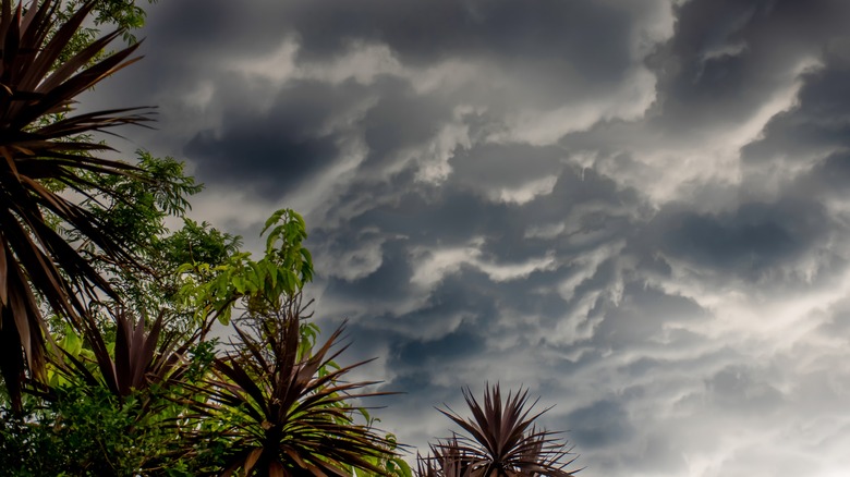 Storm clouds