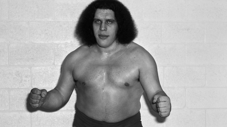 Andre the Giant posing for the camera