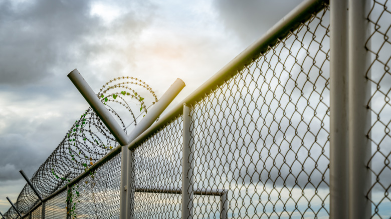 Prison fence 