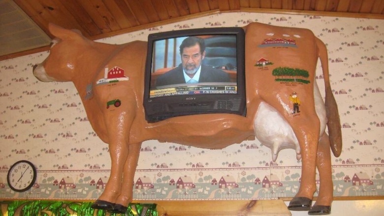 Sadam Hussein on a TV in a cow