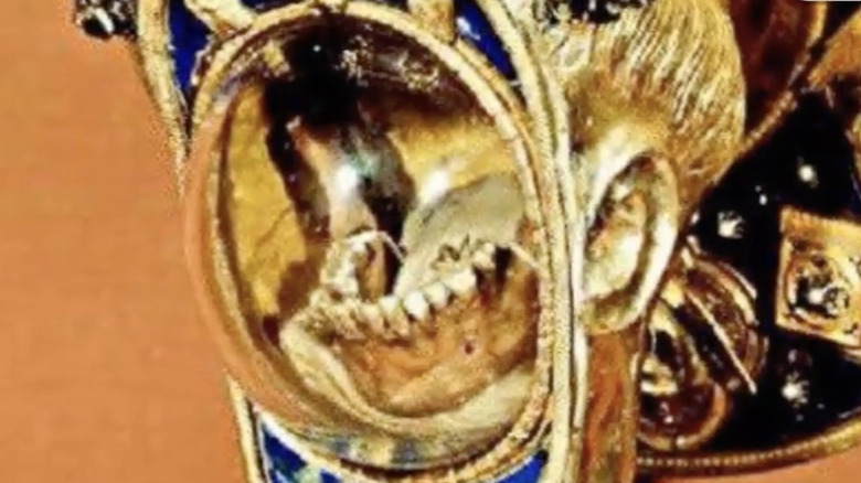 tongue and jaw of St. Anthony 