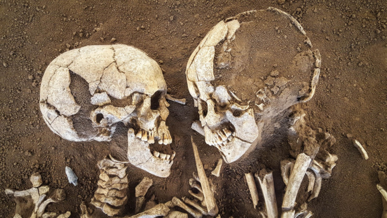 Lovers of Valdaro's skulls
