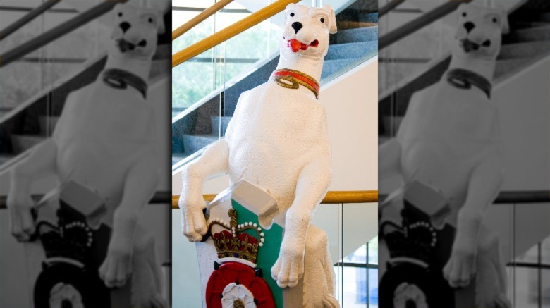The white greyhound of Richmond