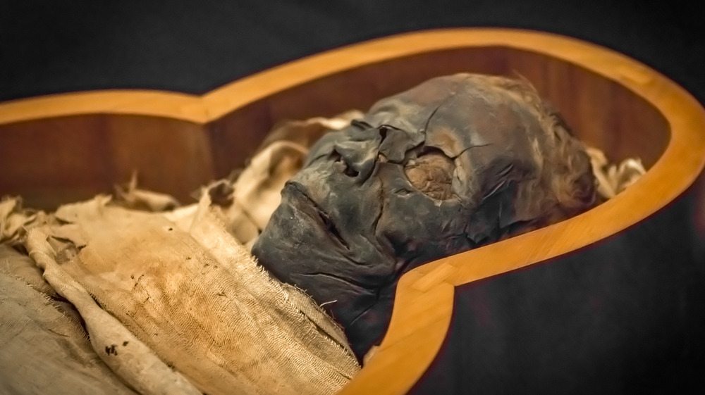 mummy in coffin