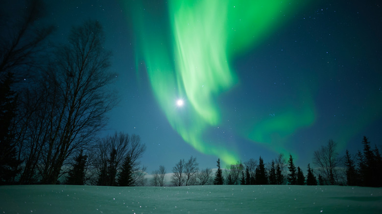 Northern lights over arctic snow