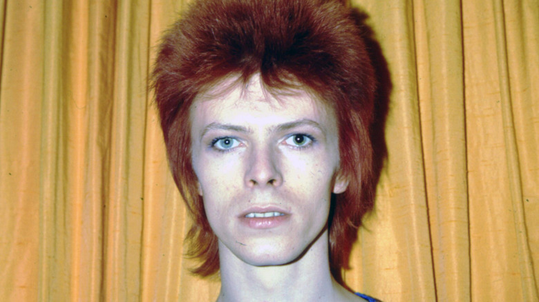Ziggy Stardust and the Spiders from Mars