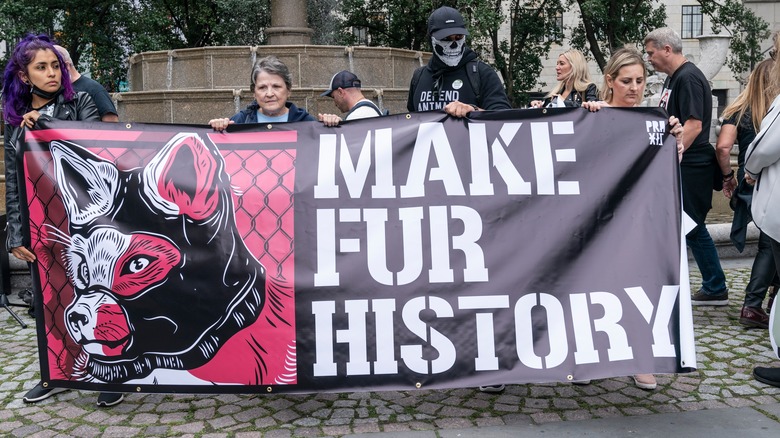ALF demonstration