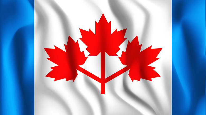 Pearson Pennant flag with wavy effect