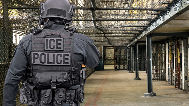 ICE police officer in armour