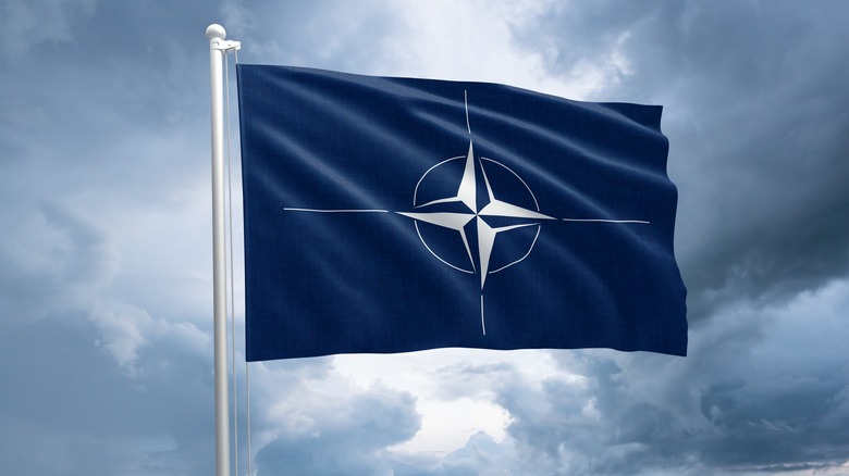 NATO flag waving in the wind