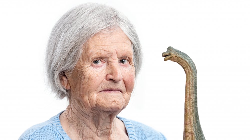 Grandma Dinosaur