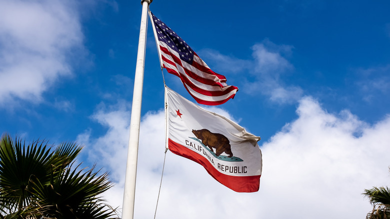 California and U.S. flying flags