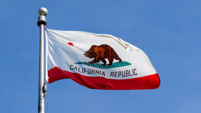 California state flag waving in wind