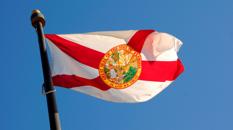 Florida flag blowing in wind