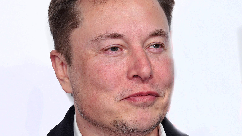 Elon musk half smile